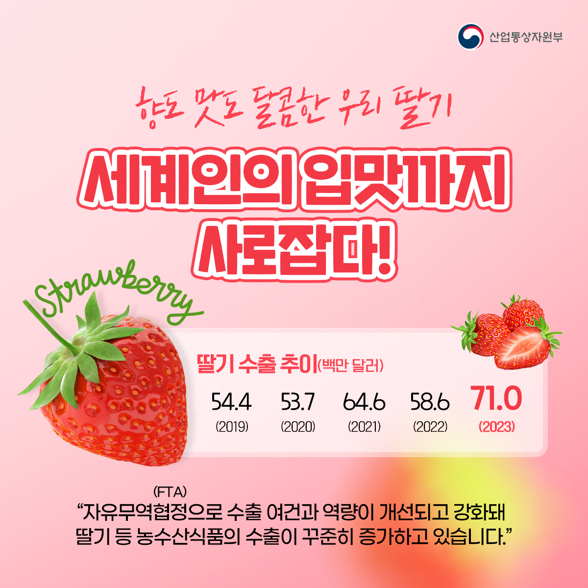 (0206)딸기 수출 현황